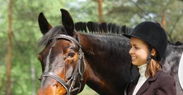 Features of the Russian Trotter breed All about the Russian Trotter breed