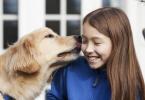Pes olizuje svojho majiteľa: dôvody Ak vás pes olizuje